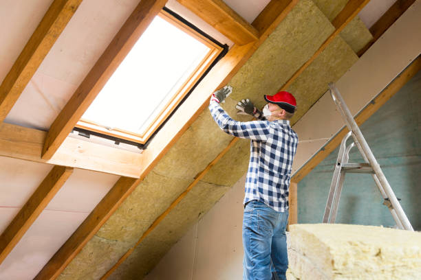 Professional Insulation Services in Clarksville, VA